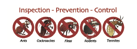 Pest types treated by AEGIS Pest Solutions